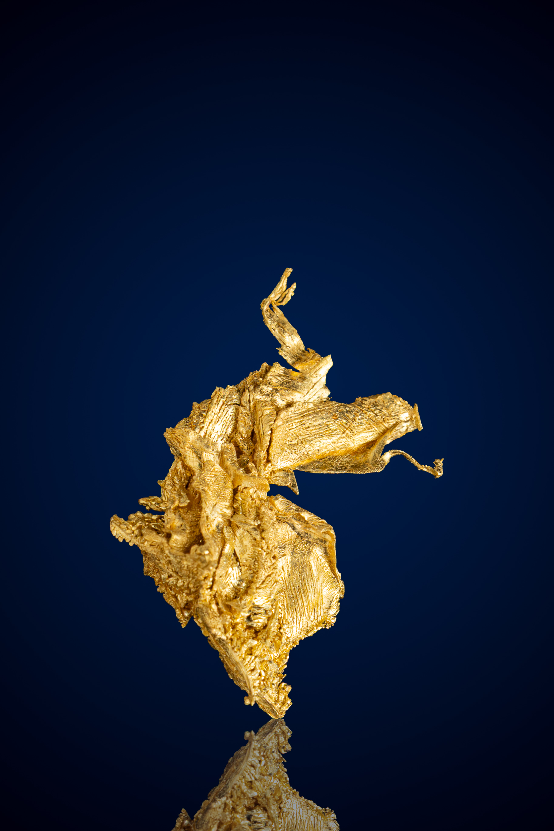 Incredible, "Legged" Crystallized Gold Nugget - Round Mountain, NV - 2.67 grams (image for) Incredible, "Legged" Crystallized Gold Nugget - Round Mountain, NV - 2.67 grams